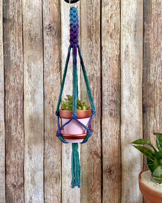 Plant Hanger, Small Batch 01