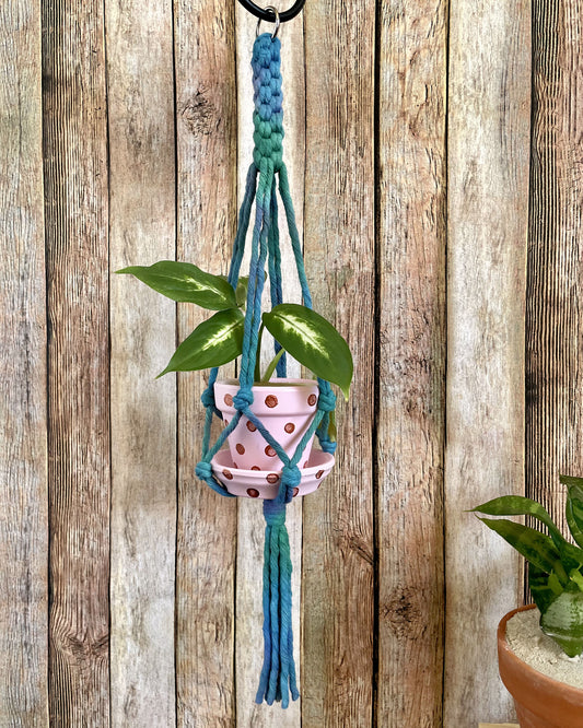 Tie Dye Plant Hanger 03