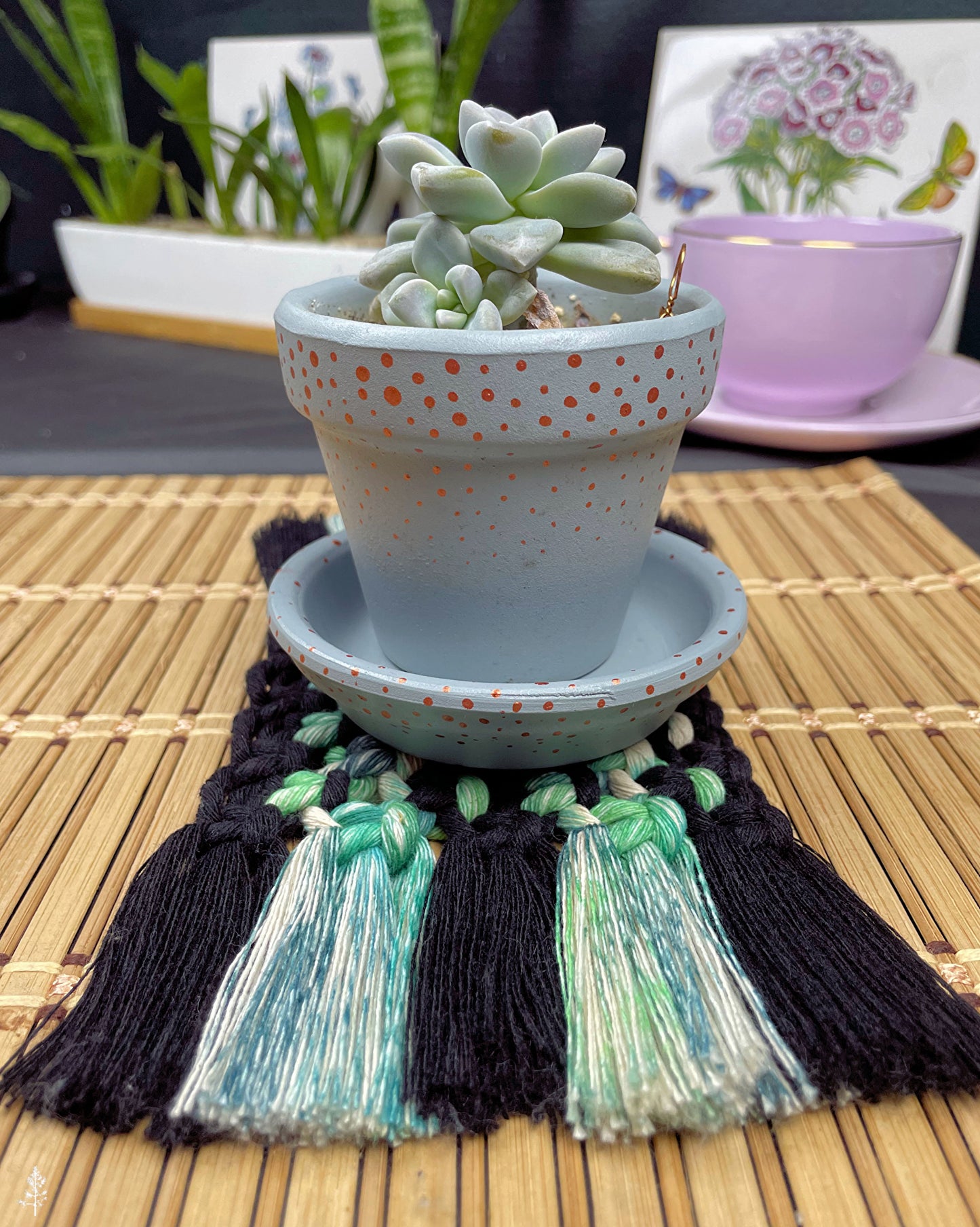 Potted succulent on a decorative macrame coaster
