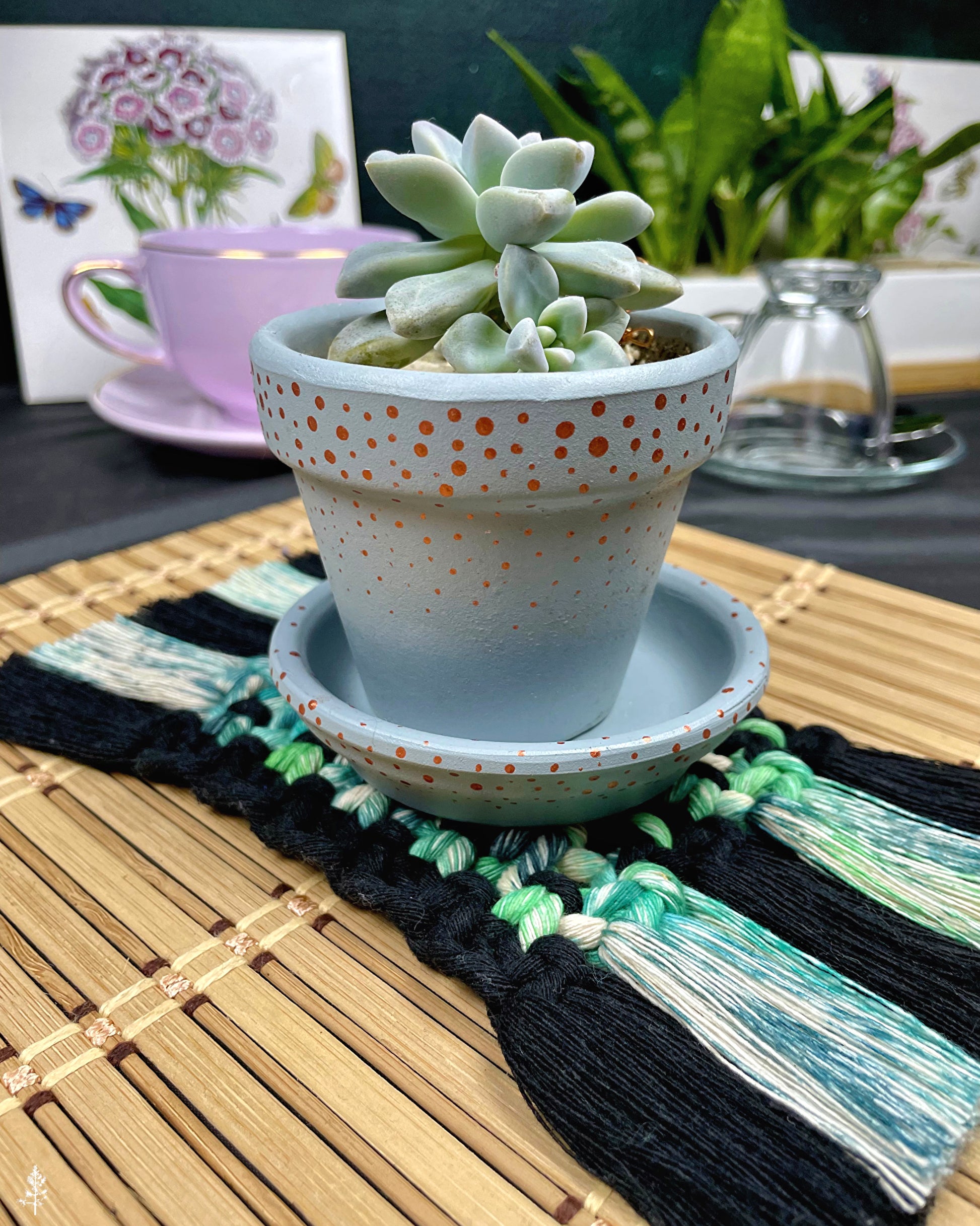 Potted succulent plant on a macrame coaster