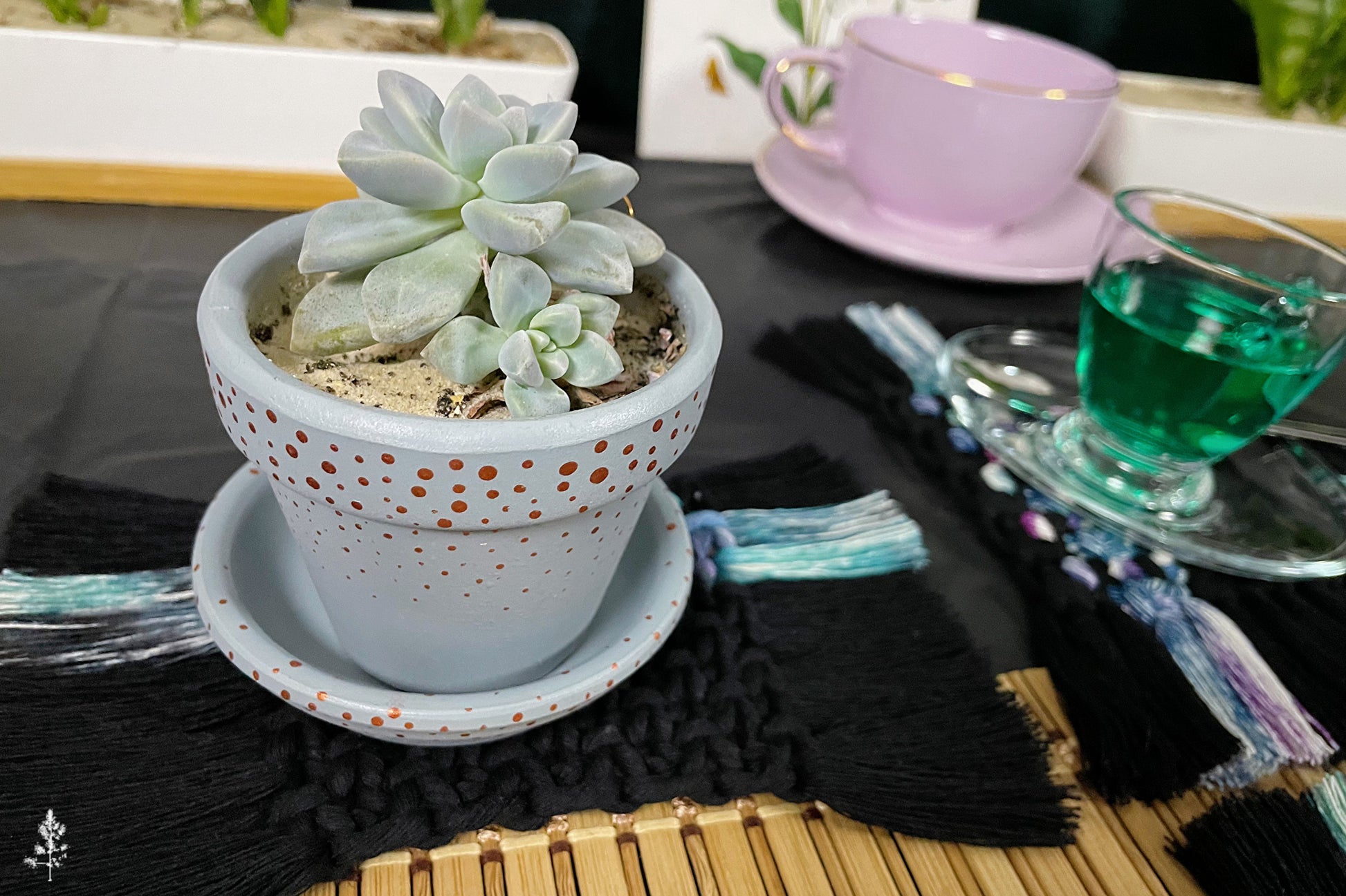 Potted succulent plant on a black macrame coaster on a table with a glass of green liquid and saucer.