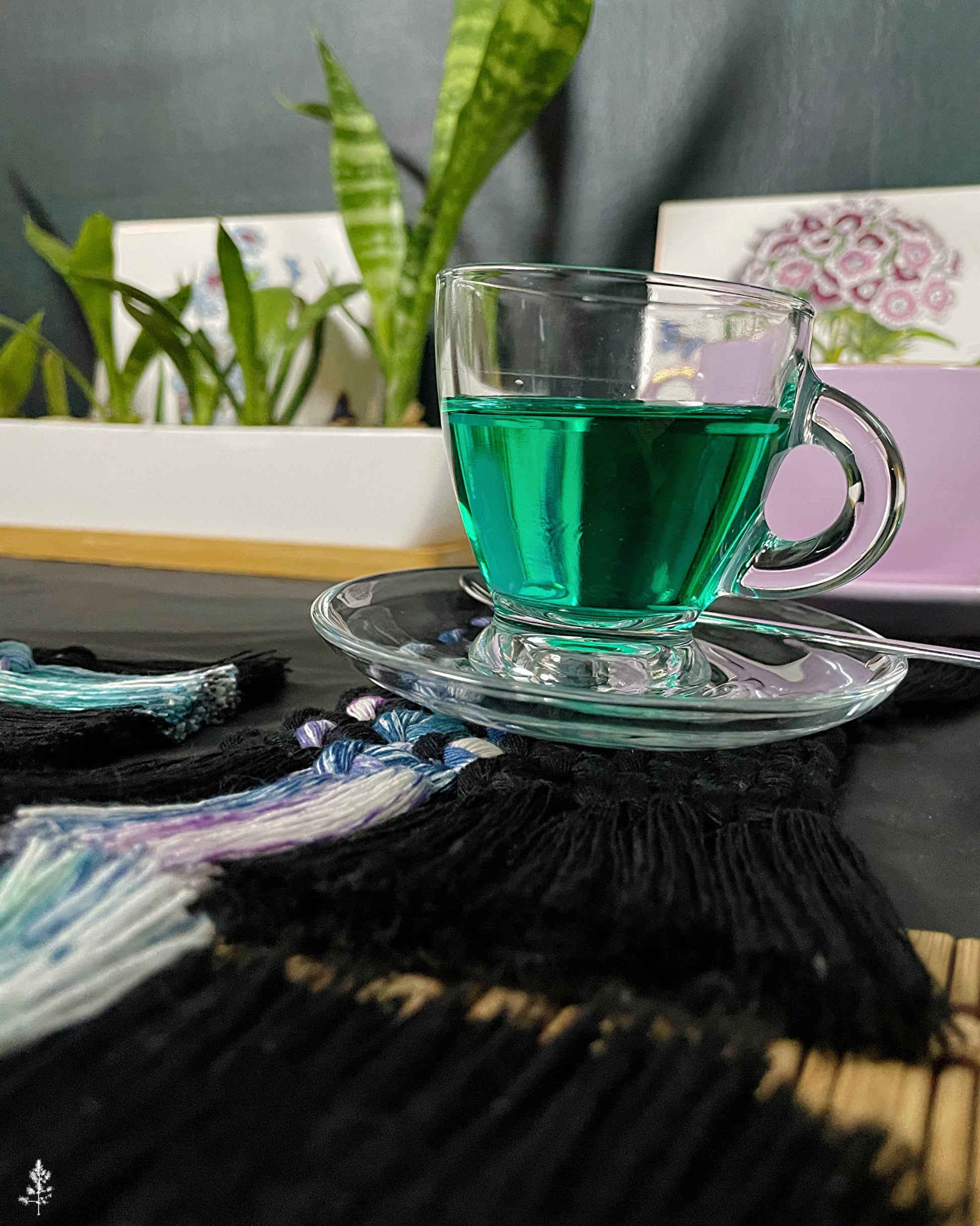 Clear glass cup with green liquid on a saucer, placed on a black macrame coaster with plants in the background.