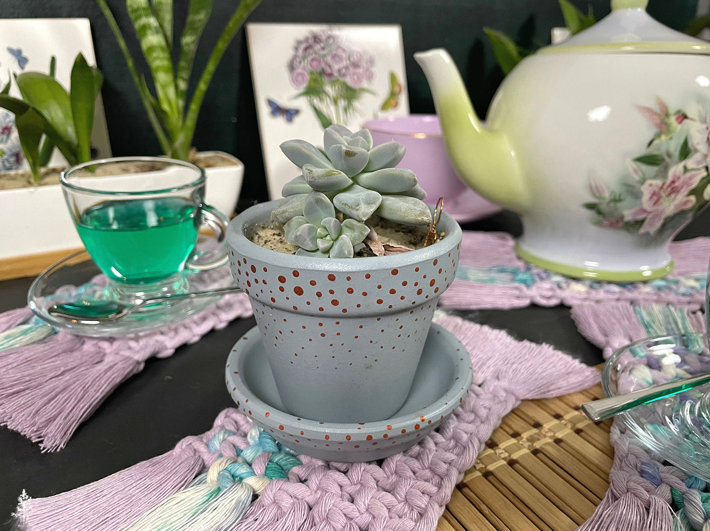 Potted succulent on a cotton macrame coaster