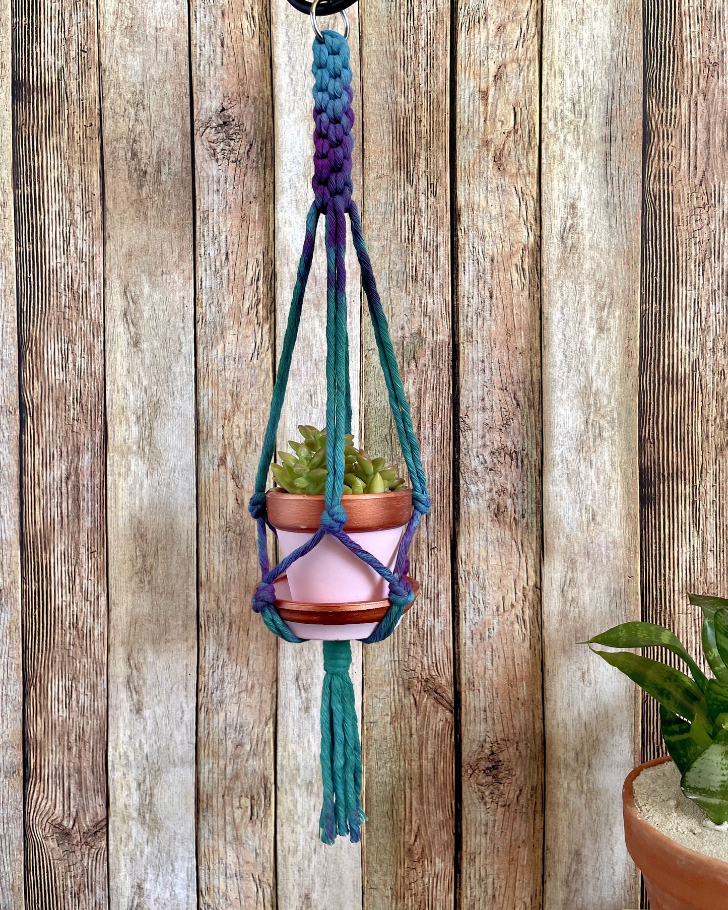 Tie Dye Plant Hanger 01