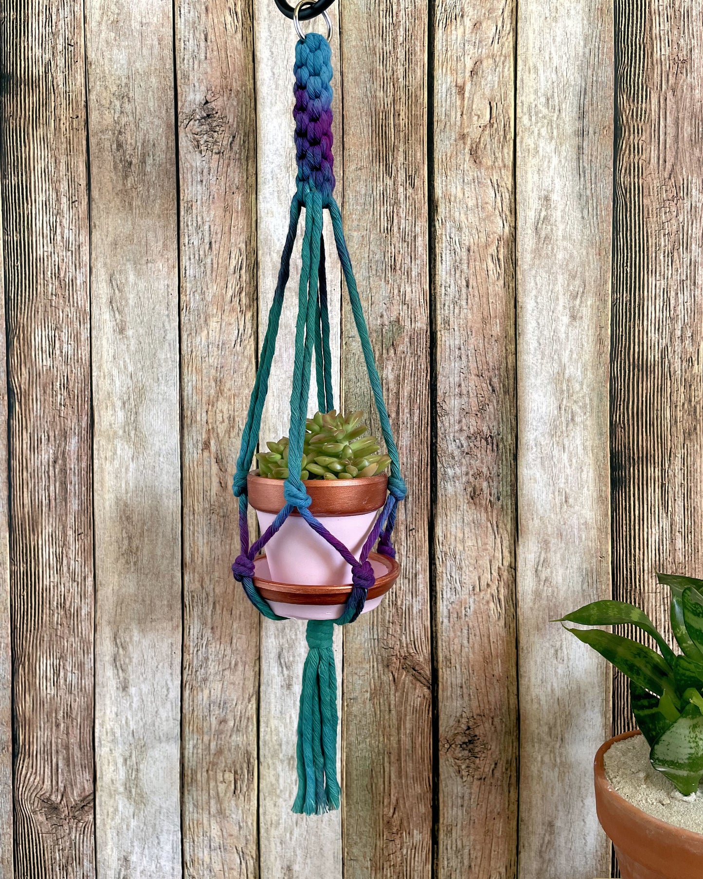 Tie Dye Plant Hanger 01