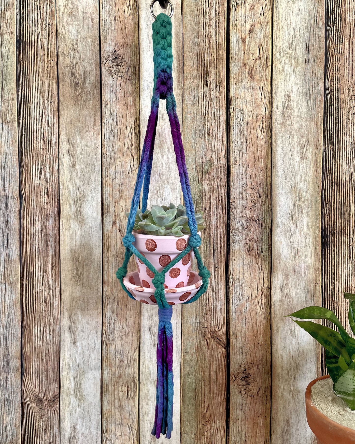 Plant Hanger, Small Batch 01