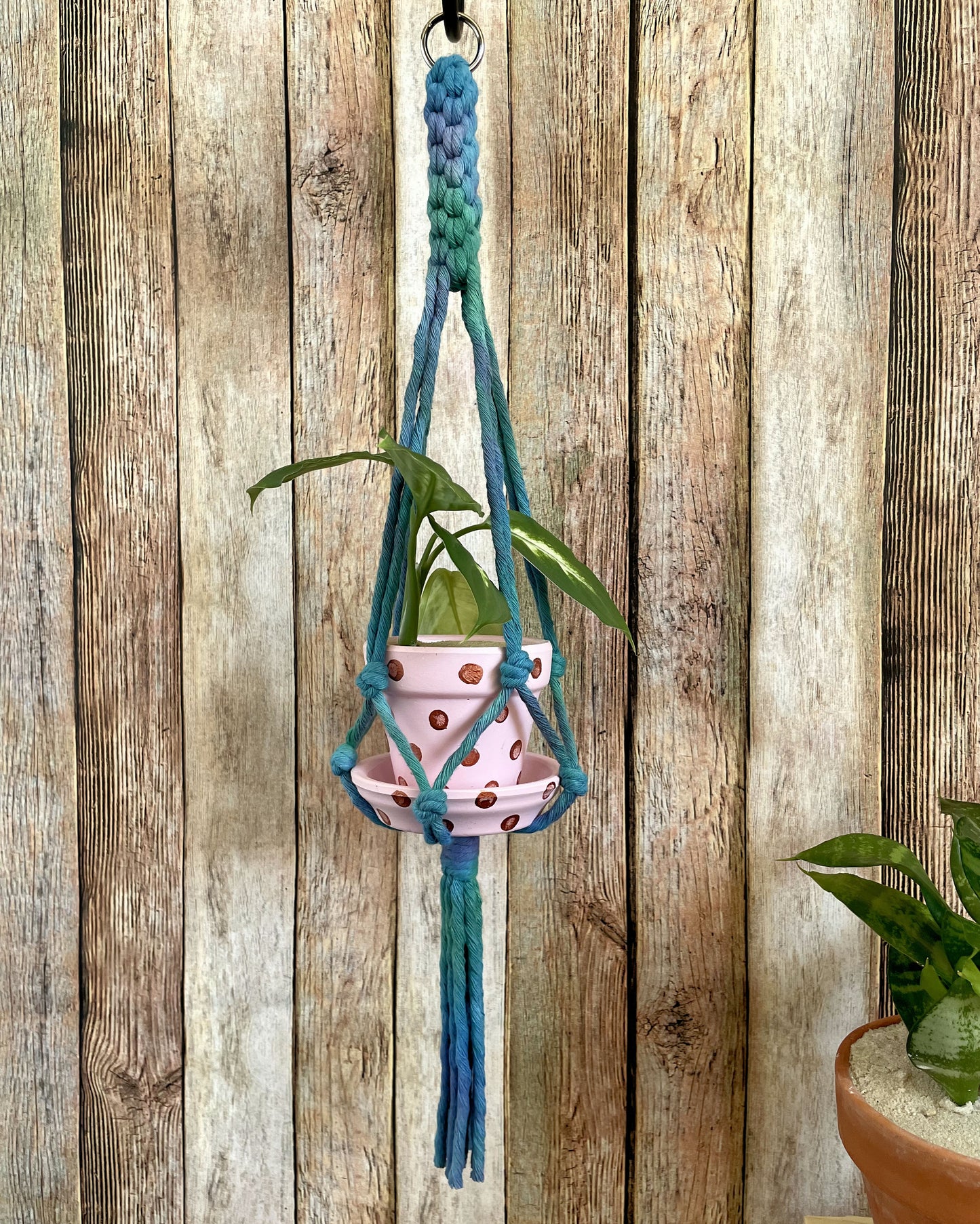 Tie Dye Plant Hanger 03