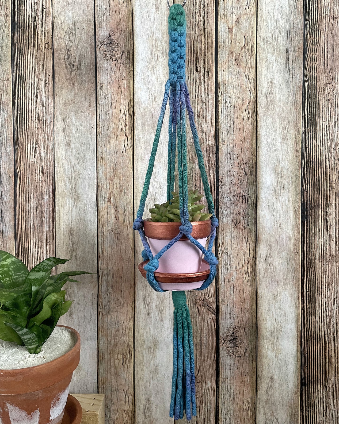 Tie Dye Plant Hanger 05