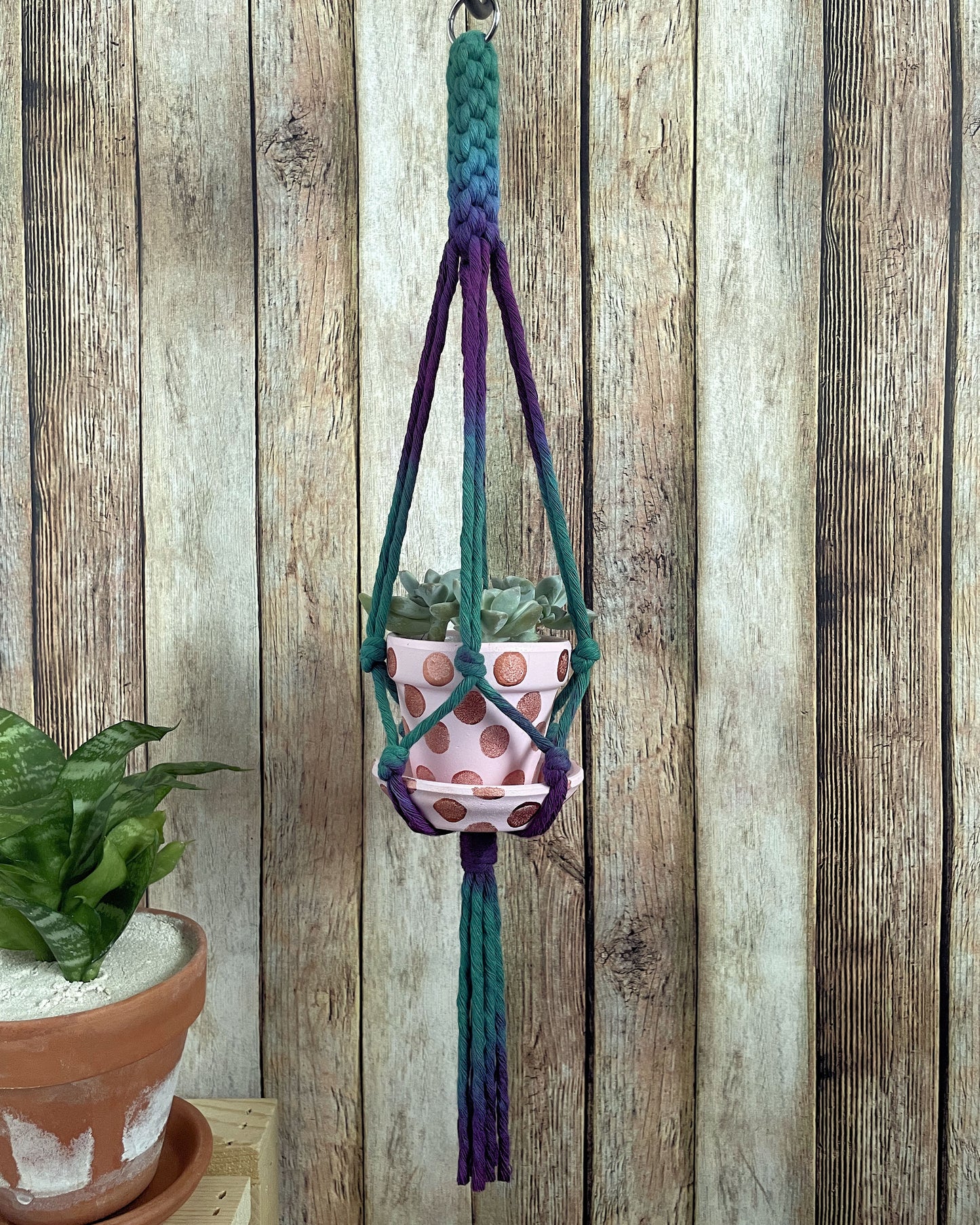 Plant Hanger, Small Batch 01