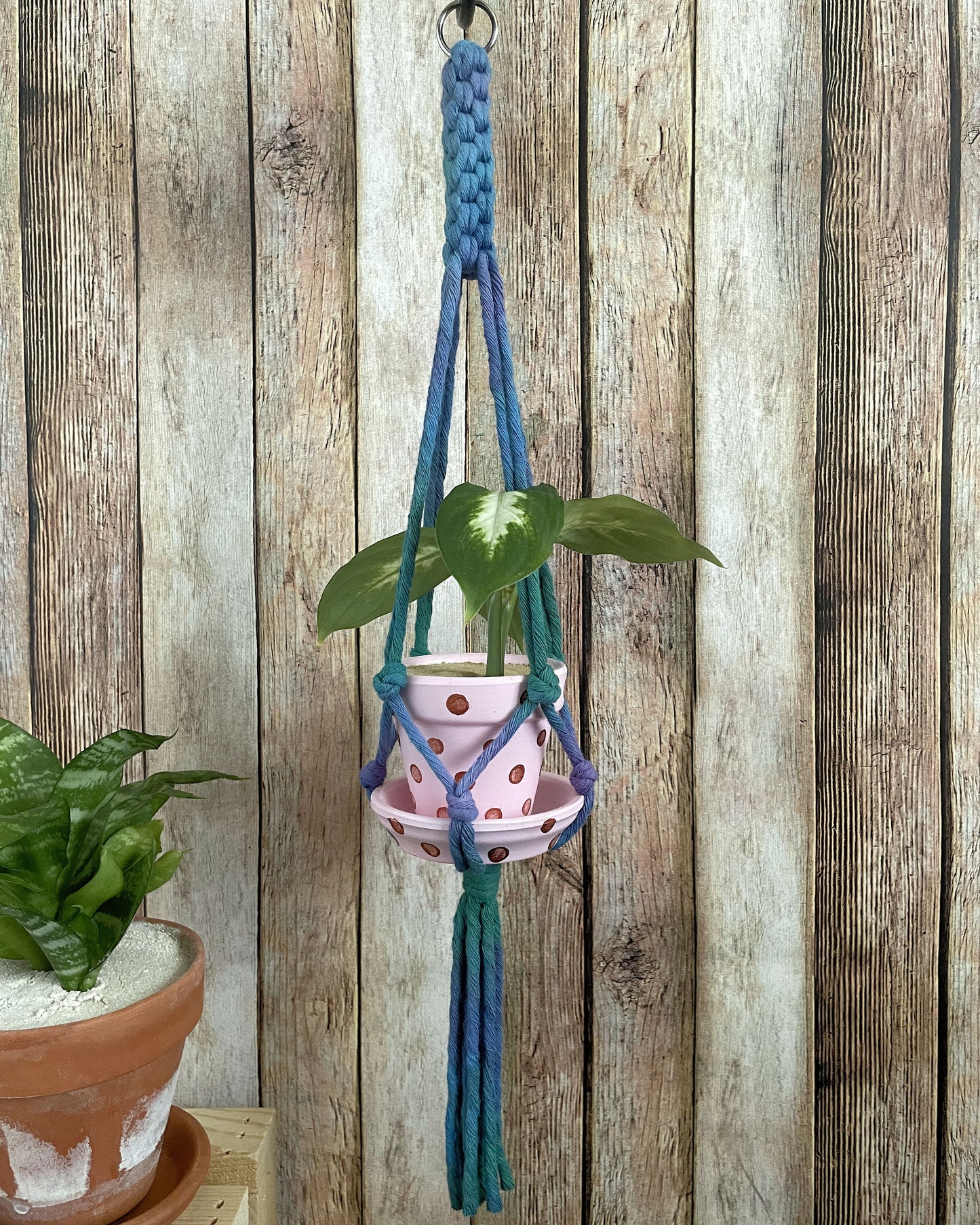 Plant Hanger, Small Batch 01