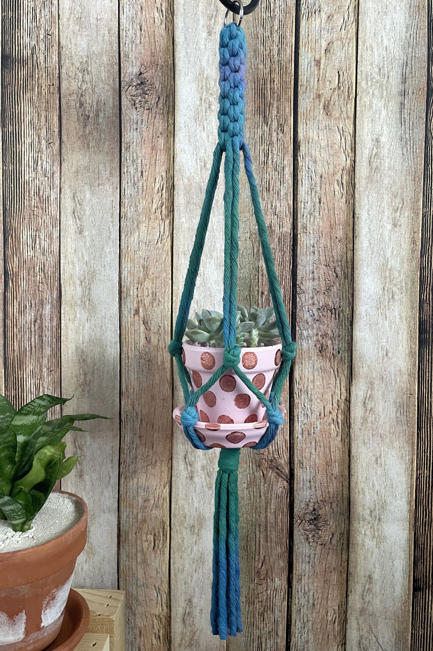 Plant Hanger, Small Batch 01