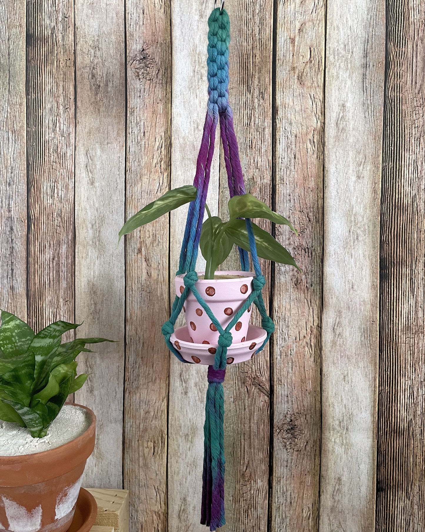 Tie Dye Plant Hanger 11