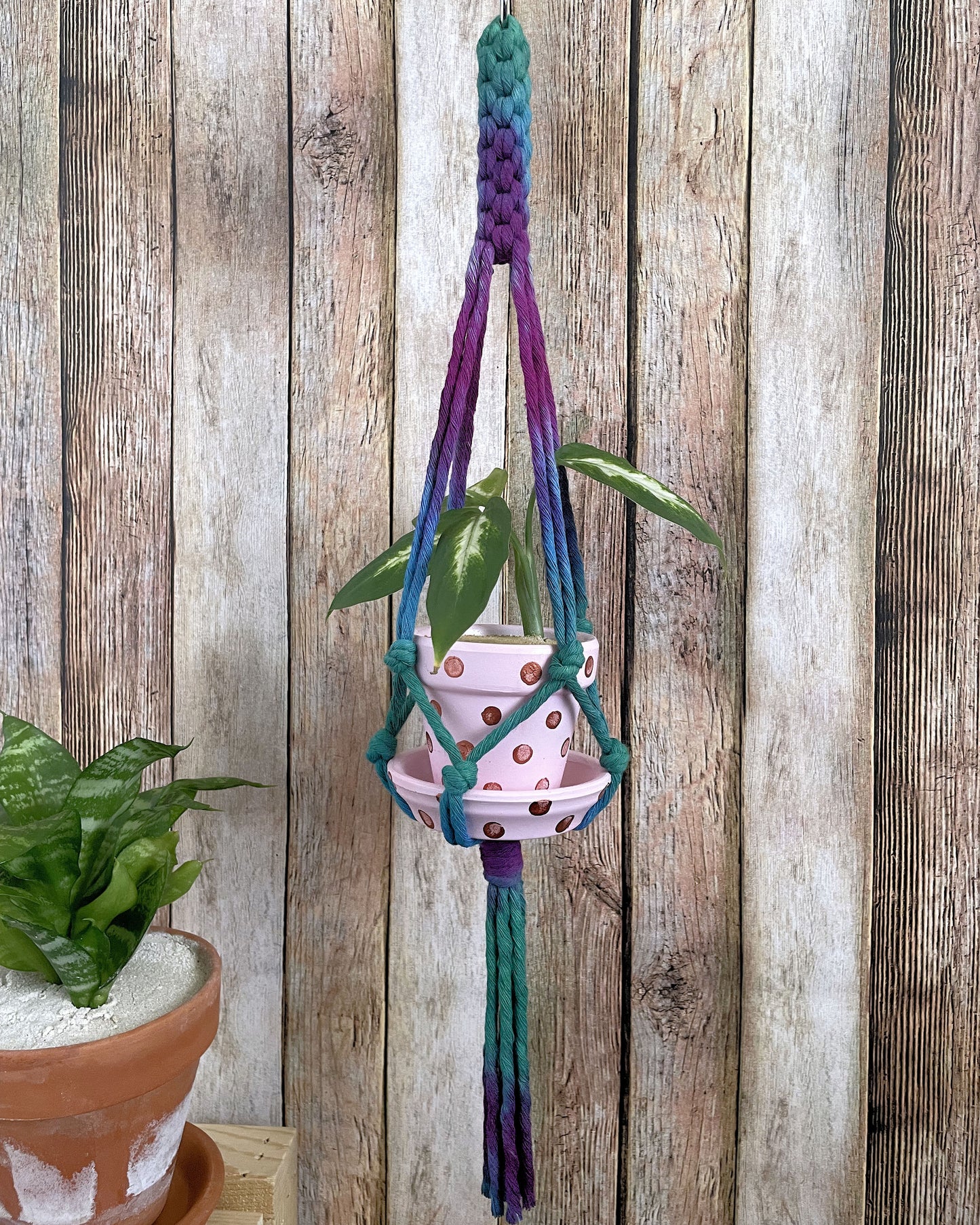 Tie Dye Plant Hanger 11