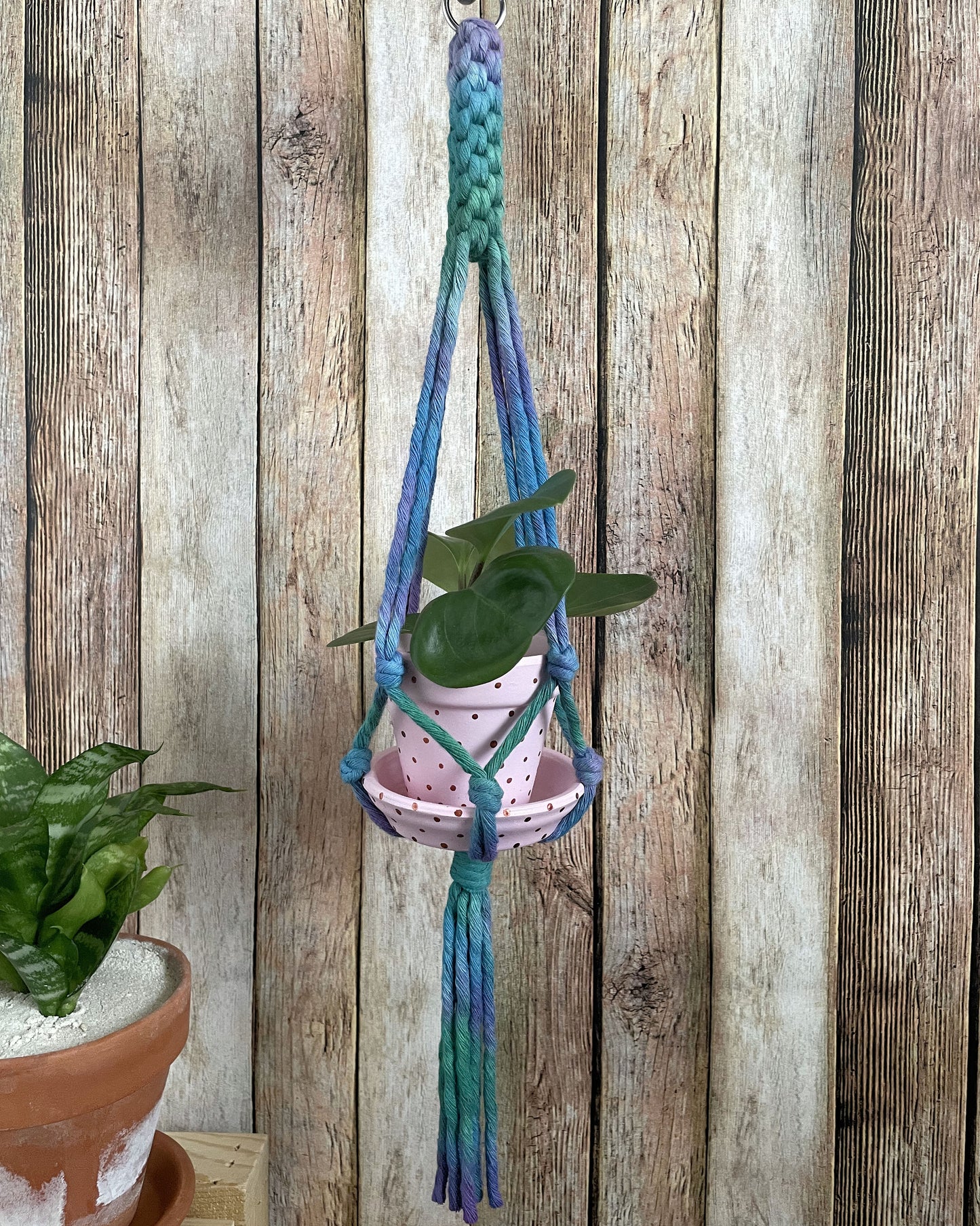 Plant Hanger, Small Batch 01